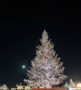 Christmas Market in 横浜赤レンガ倉庫 2025に投稿された画像（2025/12/6）