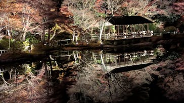 名古屋市東山動植物園に投稿された画像（2025/12/6）