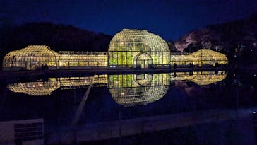 名古屋市東山動植物園に投稿された画像（2025/12/6）