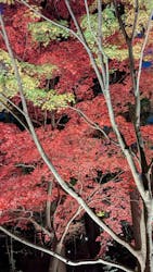 名古屋市東山動植物園に投稿された画像（2025/12/6）