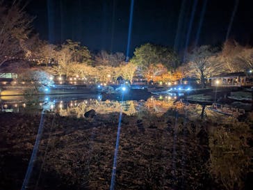 修善寺虹の郷に投稿された画像（2025/12/6）