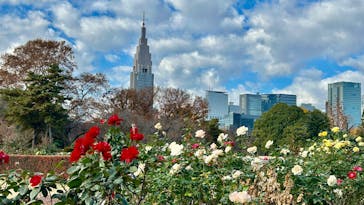 新宿御苑に投稿された画像（2025/12/6）