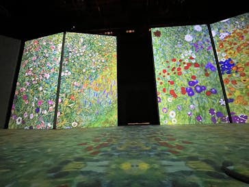 クリムト・アライブ　大阪展 （堂島リバーフォーラム）に投稿された画像（2025/12/6）