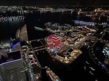 横浜ランドマークタワー 69階展望フロア スカイガーデンに投稿された画像（2025/12/6）