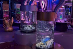 ひらかたパークに投稿された画像（2025/12/6）