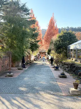 EnglishGardenローザンベリー多和田に投稿された画像（2025/12/6）