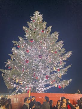 Christmas Market in 横浜赤レンガ倉庫 2025に投稿された画像（2025/12/6）