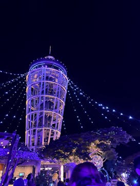 江の島シーキャンドルに投稿された画像（2025/12/6）