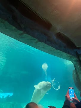 名古屋港水族館に投稿された画像（2025/12/6）