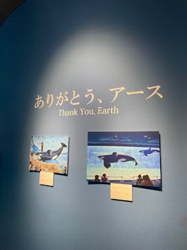 名古屋港水族館に投稿された画像（2025/12/6）