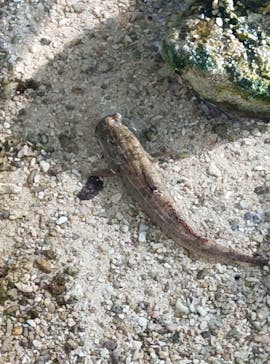 名古屋港水族館に投稿された画像（2025/12/6）