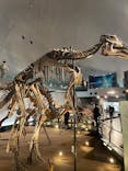 福井県立恐竜博物館に投稿された画像（2025/12/6）