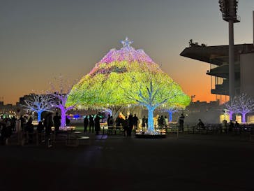 東京メガイルミに投稿された画像（2025/12/6）