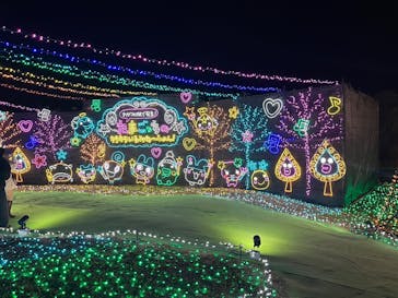 さがみ湖MORI MORIに投稿された画像（2025/12/6）