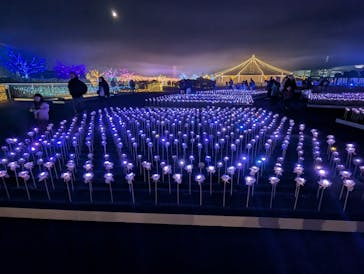 東京メガイルミに投稿された画像（2025/12/6）