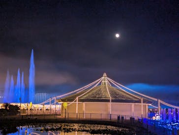 東京メガイルミに投稿された画像（2025/12/6）