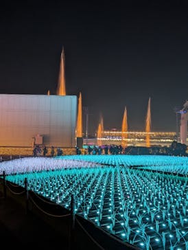 東京メガイルミに投稿された画像（2025/12/6）