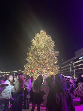 Christmas Market in 横浜赤レンガ倉庫 2025に投稿された画像（2025/12/6）