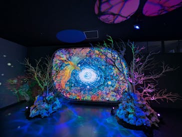 広島もとまち水族館に投稿された画像（2025/12/6）