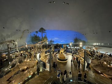 福井県立恐竜博物館に投稿された画像（2025/12/6）