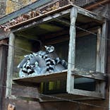 こども動物自然公園（埼玉県公園緑地協会）に投稿された画像（2025/12/6）