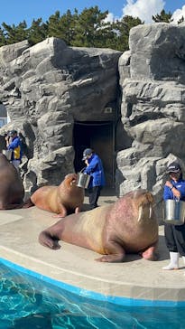 鴨川シーワールドに投稿された画像（2025/12/6）