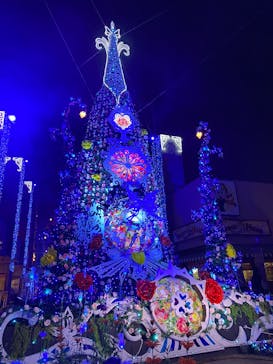 ひらかたパークに投稿された画像（2025/12/6）