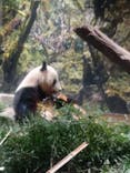 恩賜上野動物園に投稿された画像（2025/12/6）