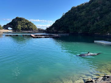 太地町立くじらの博物館に投稿された画像（2025/12/6）