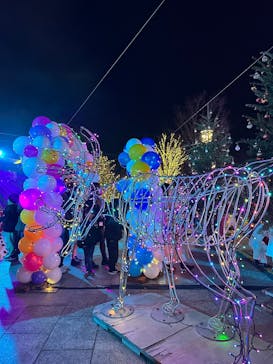 安城産業文化公園デンパークに投稿された画像（2025/12/6）