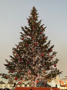 Christmas Market in 横浜赤レンガ倉庫 2025に投稿された画像（2025/12/6）