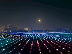 東京メガイルミに投稿された画像（2025/12/6）