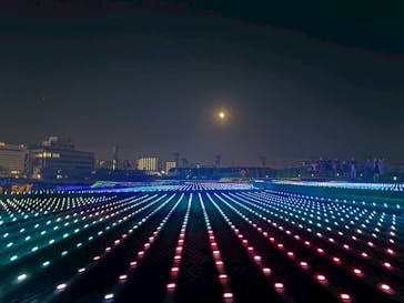 東京メガイルミに投稿された画像（2025/12/6）