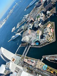 横浜ランドマークタワー 69階展望フロア スカイガーデンに投稿された画像（2025/12/6）