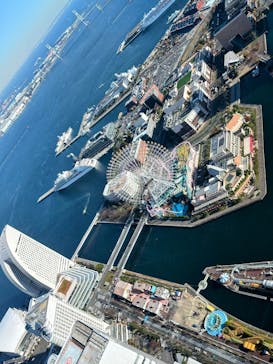 横浜ランドマークタワー 69階展望フロア スカイガーデンに投稿された画像（2025/12/6）