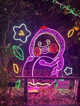 アクロス福岡イルミネーションに投稿された画像（2025/12/6）