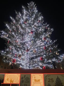 Christmas Market in 横浜赤レンガ倉庫 2025に投稿された画像（2025/12/6）