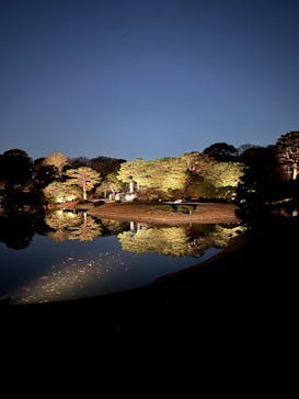 六義園に投稿された画像（2025/12/6）