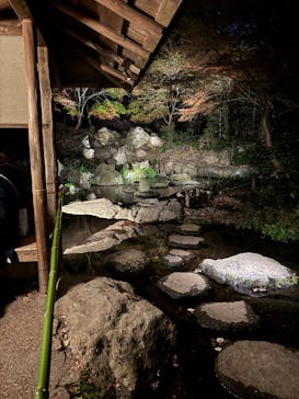 六義園に投稿された画像（2025/12/6）