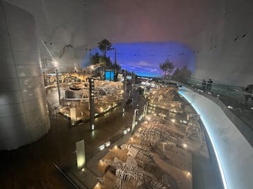 福井県立恐竜博物館に投稿された画像（2025/12/6）