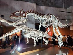 特別展「大絶滅展―生命史のビッグファイブ」に投稿された画像（2025/12/6）