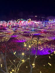 みろくの里に投稿された画像（2025/12/6）