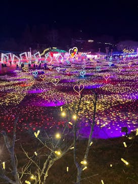 みろくの里に投稿された画像（2025/12/6）