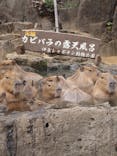 伊豆シャボテン動物公園に投稿された画像（2025/12/7）