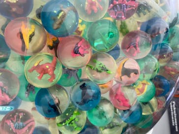 福井県立恐竜博物館に投稿された画像（2025/12/6）