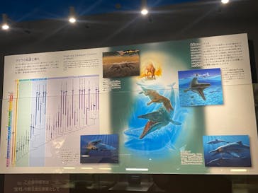 福井県立恐竜博物館に投稿された画像（2025/12/6）