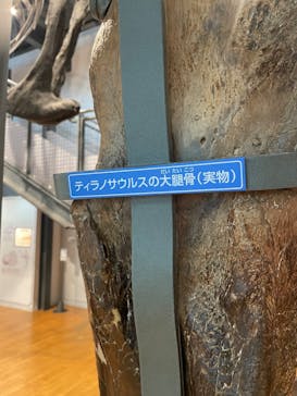 福井県立恐竜博物館に投稿された画像（2025/12/6）