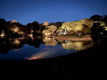 六義園に投稿された画像（2025/12/6）