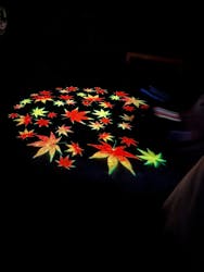 六義園に投稿された画像（2025/12/6）