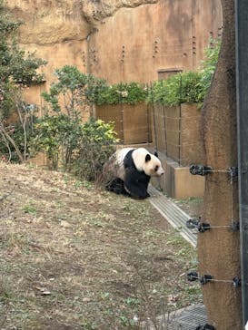 恩賜上野動物園に投稿された画像（2025/12/6）